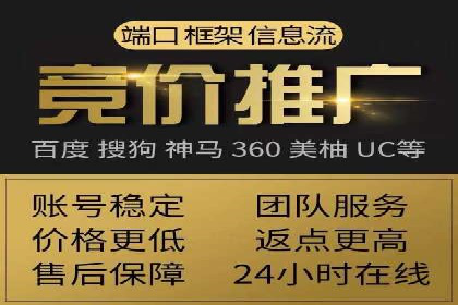 SEM公司案例研究：数据驱动营销策略